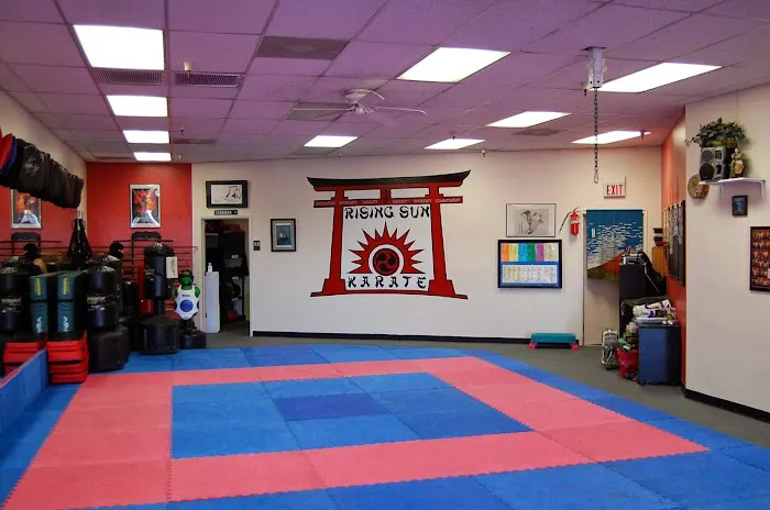 Rising Sun Martial Arts, LLC Picture 8