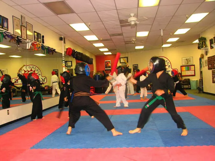 Rising Sun Martial Arts, LLC Picture 3