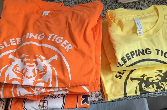 Sleeping Tiger Fitness & Martial Arts North Shore Picture 3