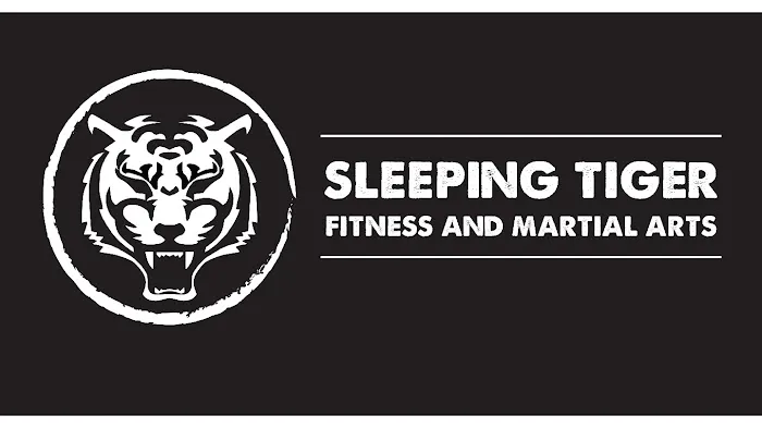Sleeping Tiger Fitness & Martial Arts North Shore Picture 1