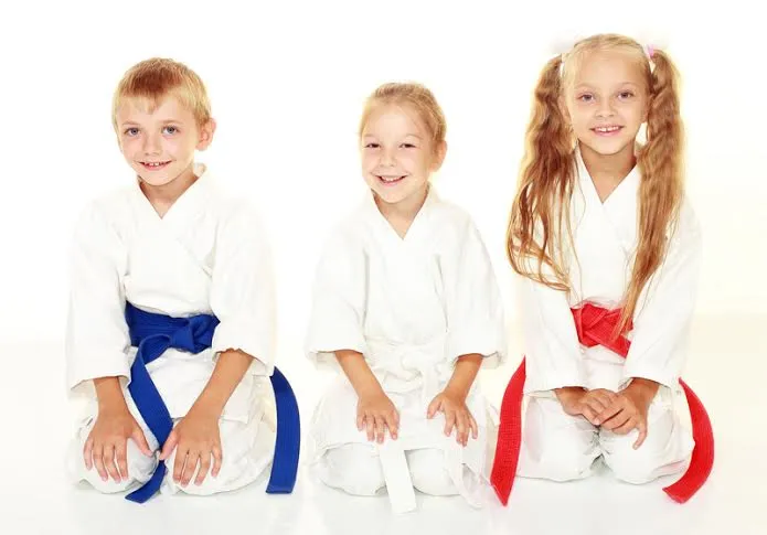 The Budo Center Picture 2