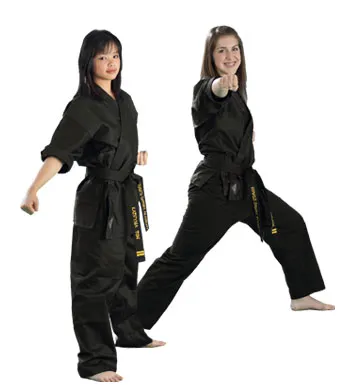 The Budo Center Picture 5