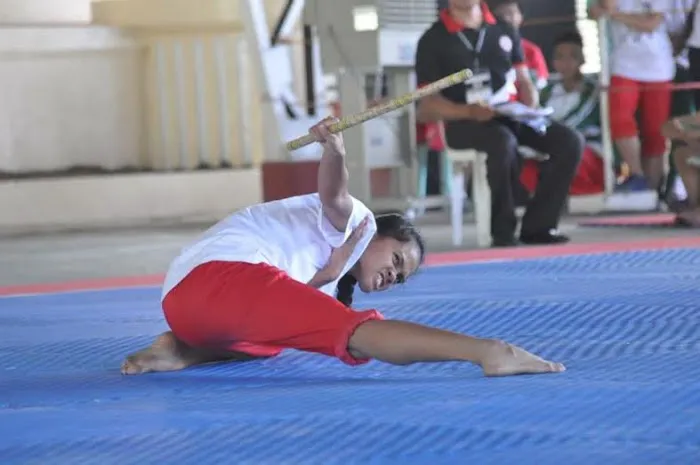 The Budo Center Picture 6