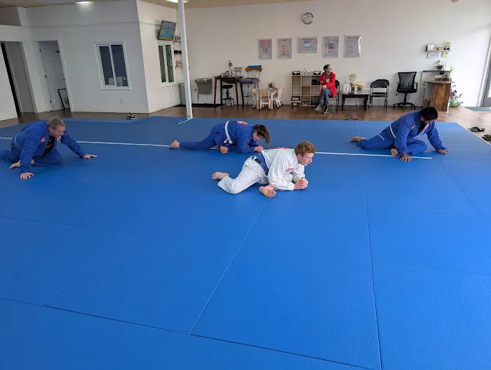 Gracie Barra El Monte Picture 4