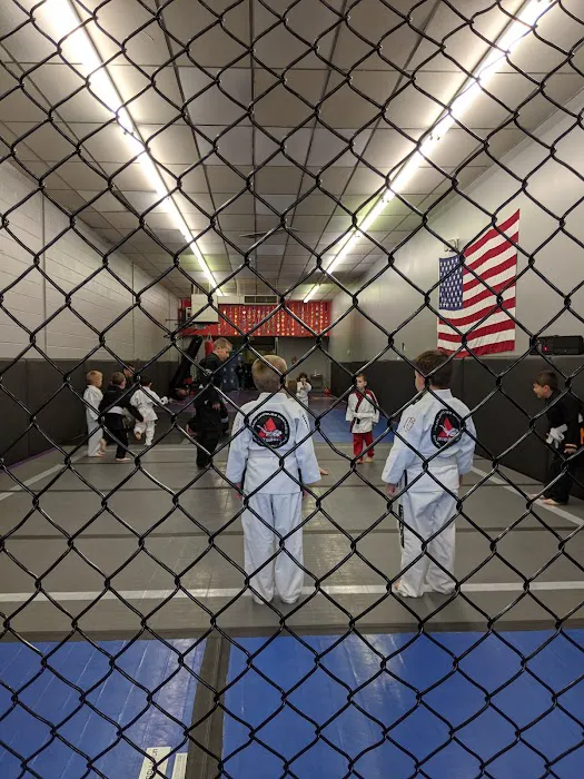 Conquest Martial Arts Picture 7
