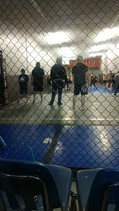 Conquest Martial Arts Picture 5