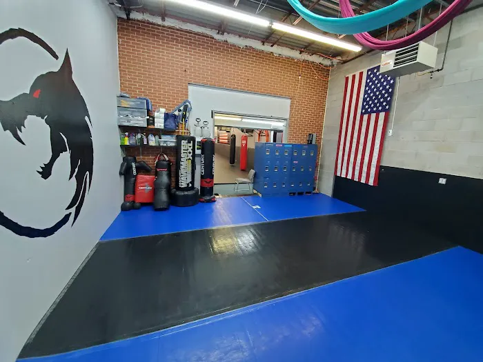 Conquest Martial Arts Picture 2