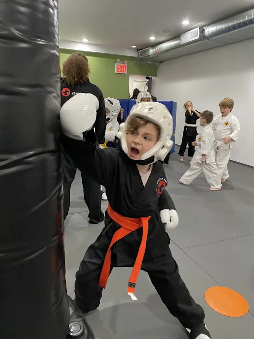 Johnny Karate NYC / JMA Brazilian jiu jitsu Picture 2