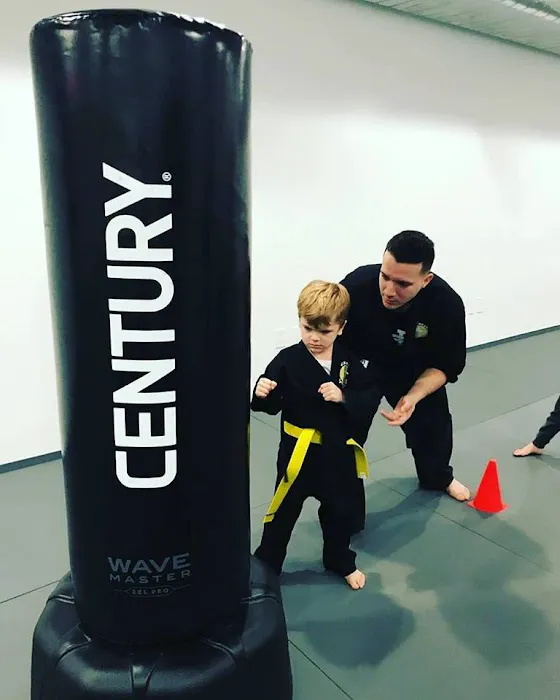 Johnny Karate NYC / JMA Brazilian jiu jitsu Picture 10