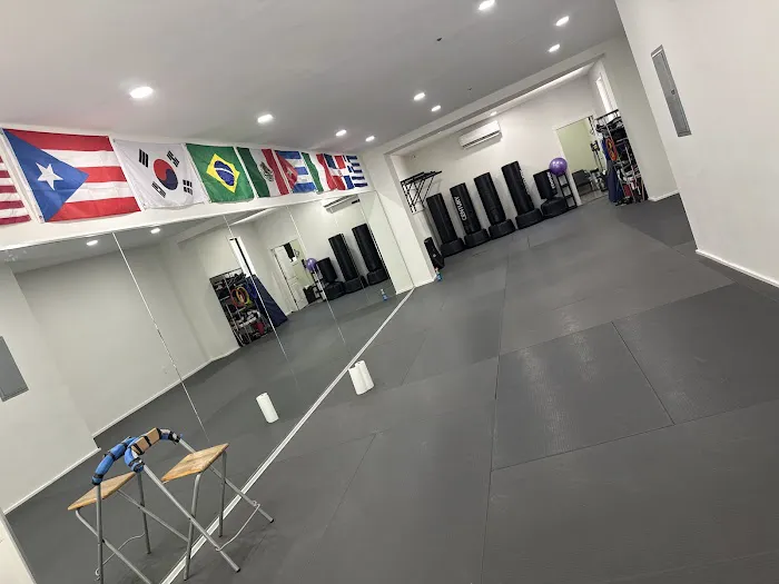Johnny Karate NYC / JMA Brazilian jiu jitsu Picture 8