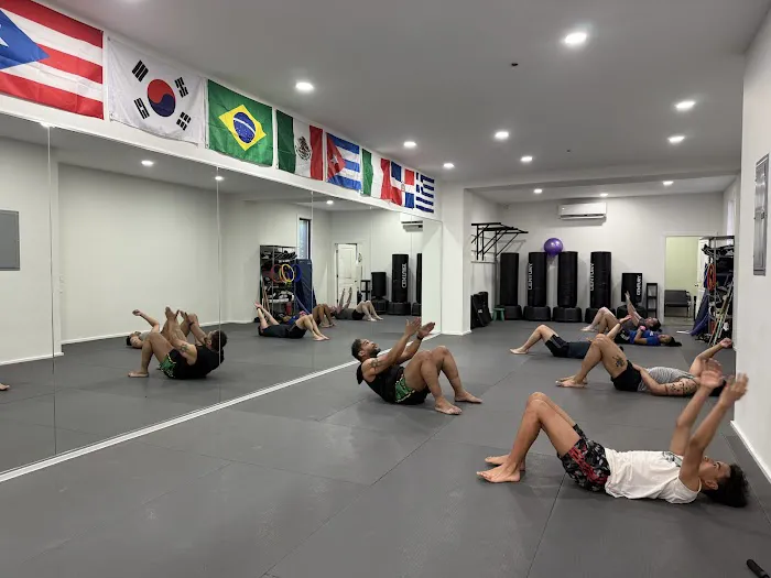 Johnny Karate NYC / JMA Brazilian jiu jitsu Picture 6
