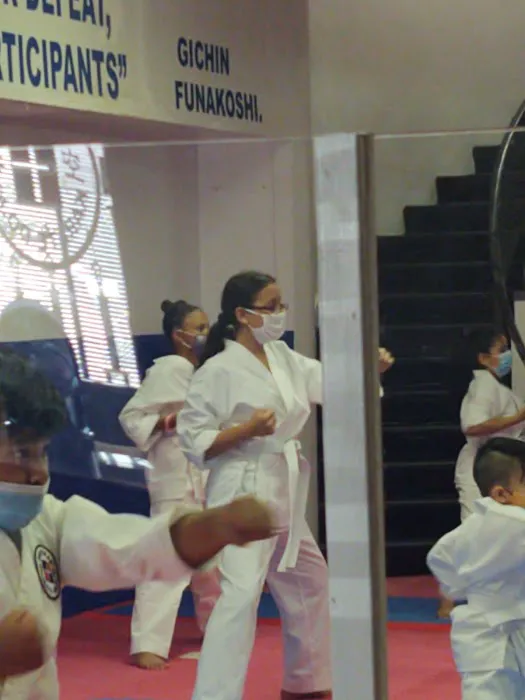 Shotokan Karate Dojo International Picture 1