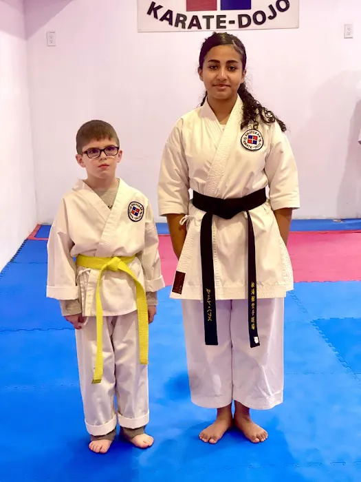 Shotokan Karate Dojo International Picture 3