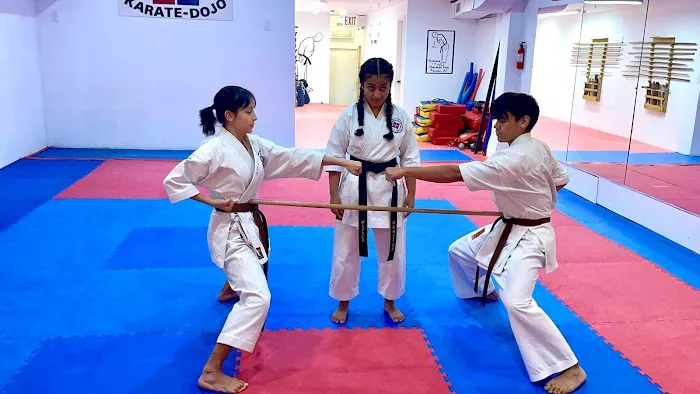 Shotokan Karate Dojo International Picture 2