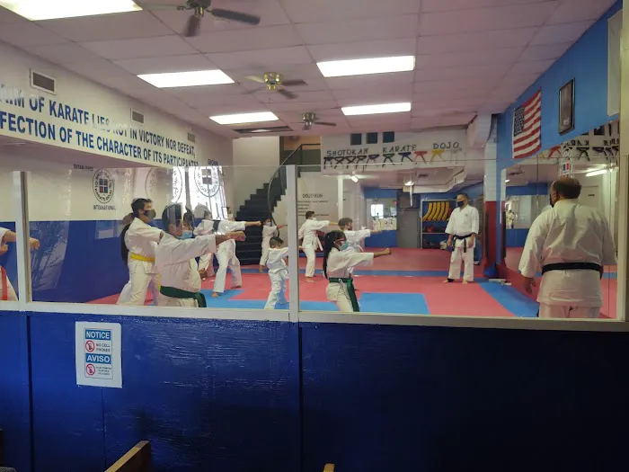 Shotokan Karate Dojo International Picture 6
