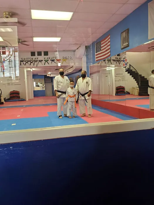 Shotokan Karate Dojo International Picture 4