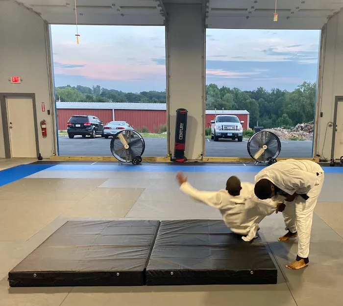 Technique BJJ Picture 1