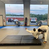 Technique BJJ ico