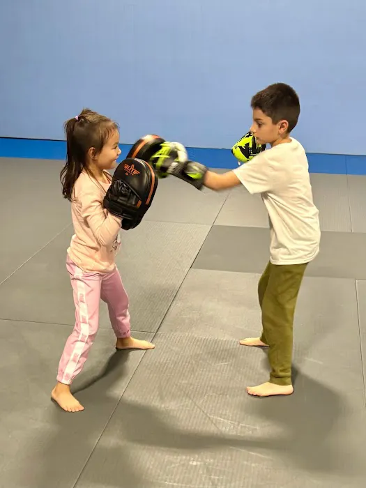 Technique BJJ Picture 5