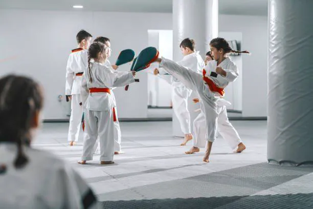 United Studios Of Self Defense Newport Beach Picture 4