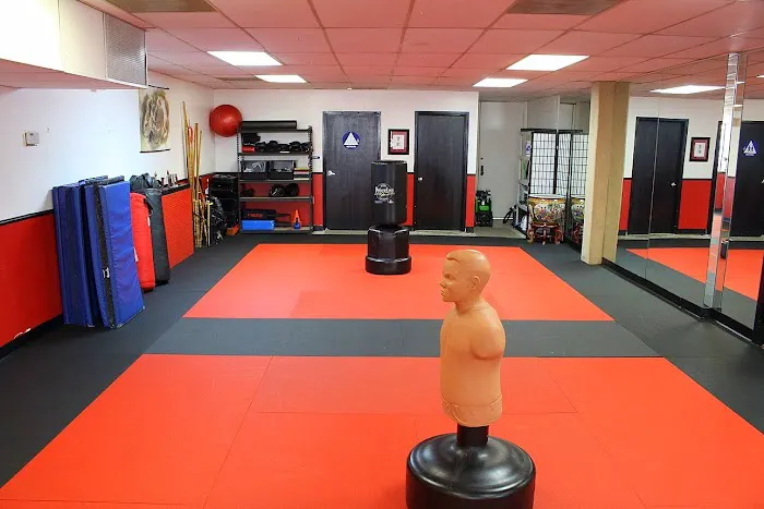 United Studios Of Self Defense Newport Beach Picture 5