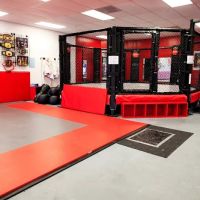 Poway Martial Arts | Kenpo Karate - Boxing - Muay Thai Kickboxing ico