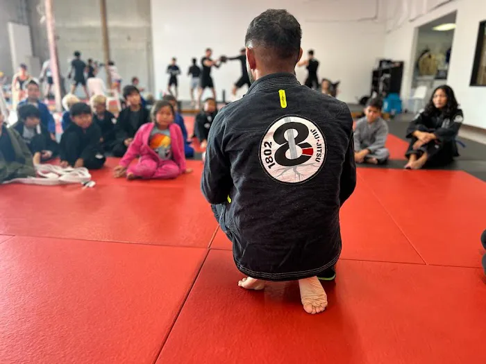 1802 Jiu-Jitsu Picture 5