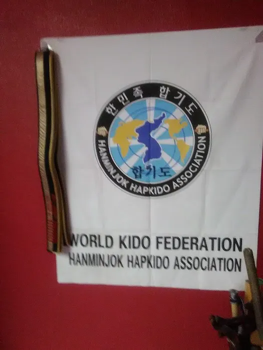 H. HapKiDo Mission Systems Picture 9