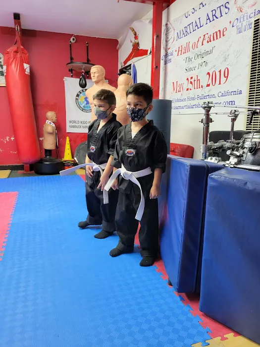 H. HapKiDo Mission Systems Picture 2
