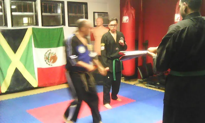 H. HapKiDo Mission Systems Picture 5