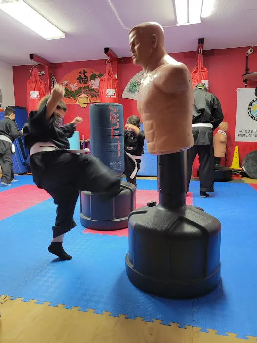 H. HapKiDo Mission Systems Picture 1