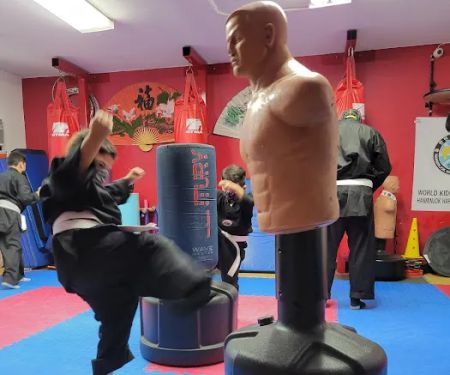 H. HapKiDo Mission Systems