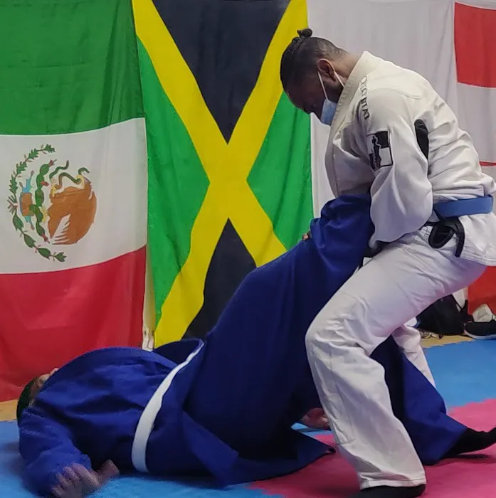 H. HapKiDo Mission Systems Picture 7