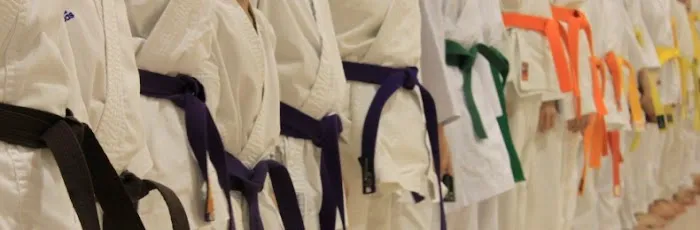 Souhegan Valley Karate Club Picture 3
