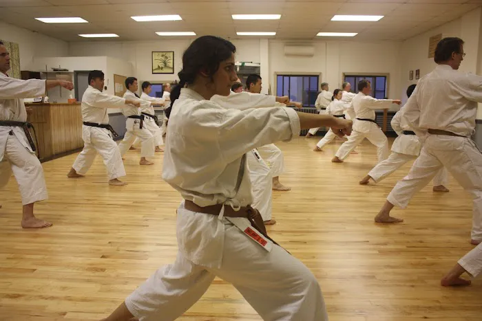Japan Karate Association of Boston Picture 5