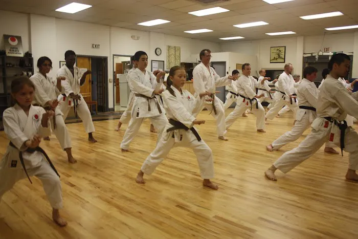 Japan Karate Association of Boston Picture 8