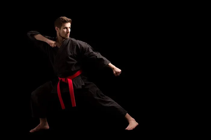 Zanshin Karate Kenpo Kenjutsu Picture 2