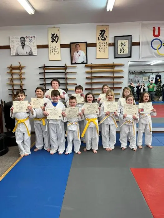 USA Martial Arts Training Center National Headquarters Picture 5