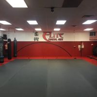 Elite Martial Arts Ju Jitsu,Karate, ico
