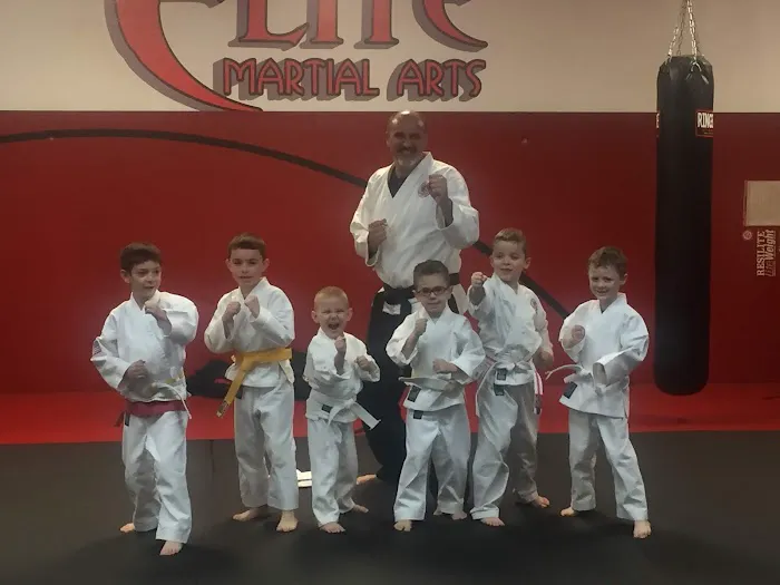 Elite Martial Arts Ju Jitsu,Karate, Picture 3