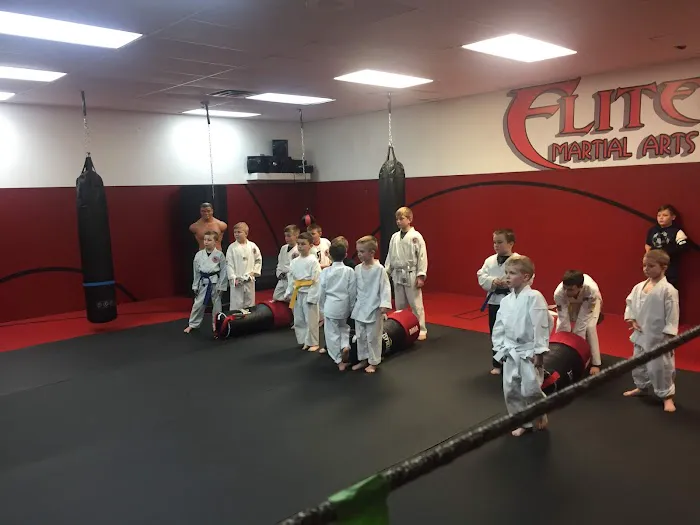 Elite Martial Arts Ju Jitsu,Karate, Picture 4