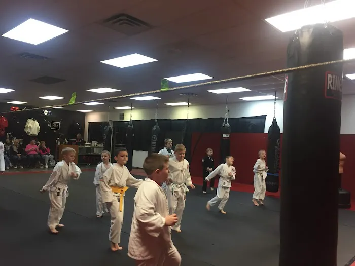 Elite Martial Arts Ju Jitsu,Karate, Picture 6