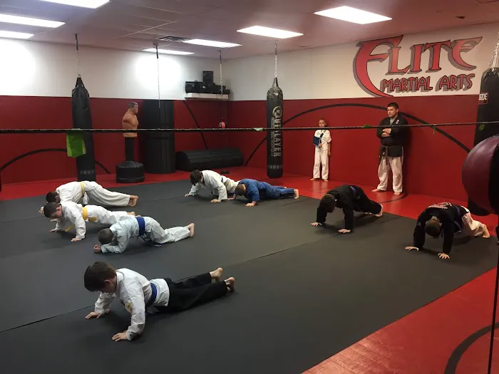 Elite Martial Arts Ju Jitsu,Karate, Picture 2