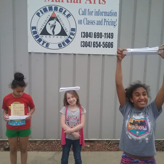 Pinnacle Karate Center Picture 1