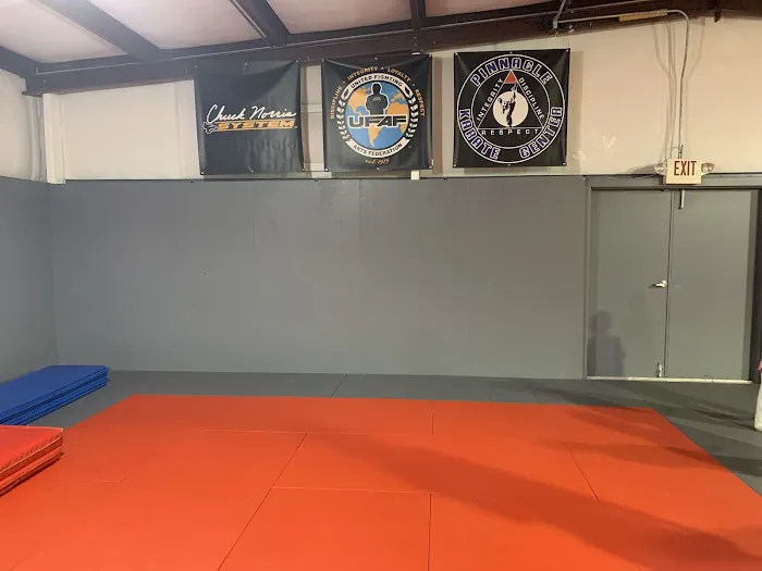 Pinnacle Karate Center Picture 8