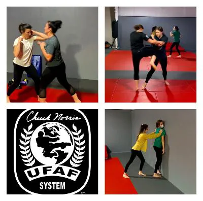 Pinnacle Karate Center Picture 3