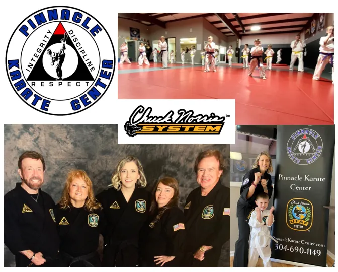 Pinnacle Karate Center Picture 10