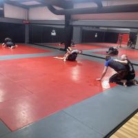 Category Five Jiu-Jitsu ico