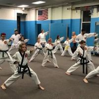 Grand Master S.H. Kang's Tae Kwon DO, LLC ico