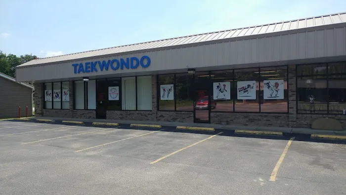 Dynamic Taekwondo Picture 3